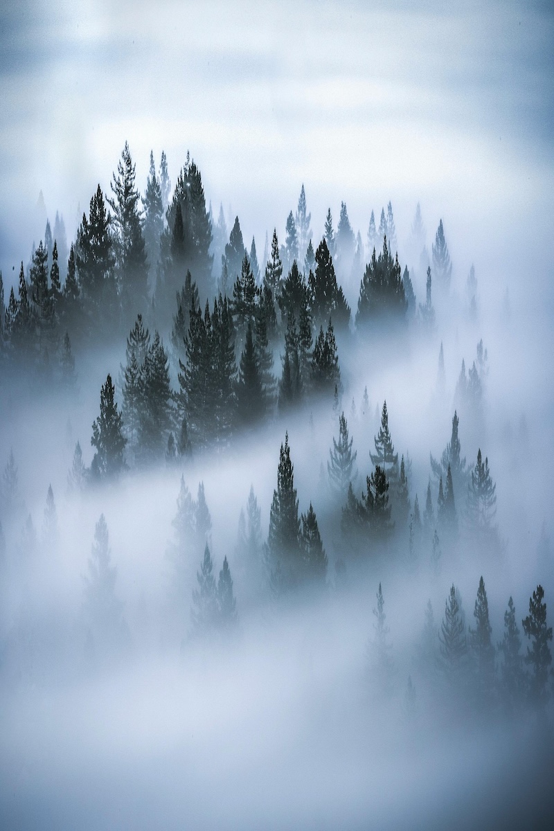 Accueil Reiki Nature